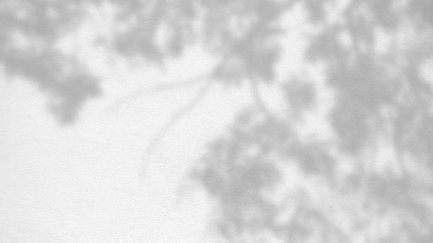 istock abstract background texture of shadows leaves on a concrete wall 1200933341