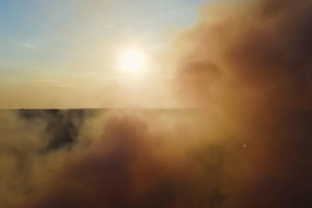 istock Fires in Russian forest, Transbaikal forest in fire, burning of 1200934346
