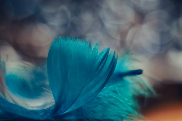 istock Close up Beautiful blue Bird feather pattern on a bokeh background for texture design. 1200934459