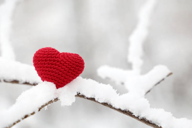 istock Valentine heart in winter forest, cold weather 1200935486