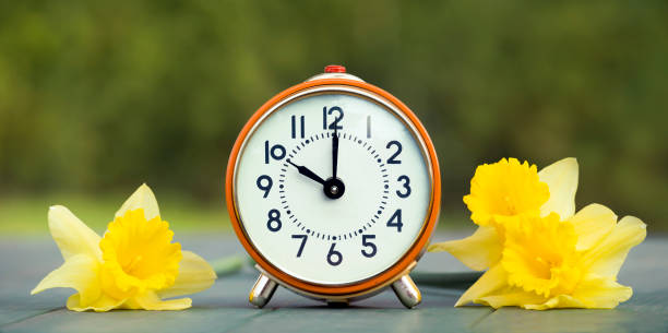 istock Easter flowers and alarm clock, spring forward, daylight savings time concept 1200936899
