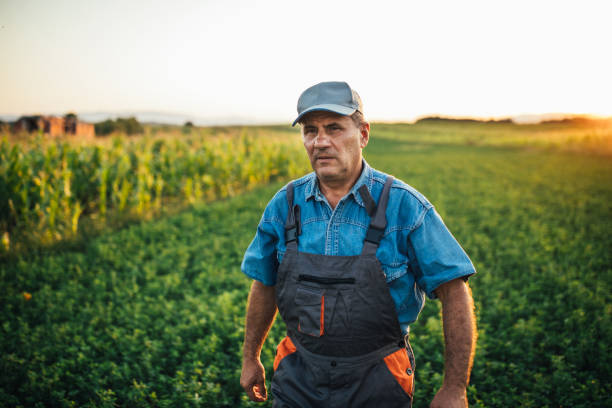 istock Senior man walking in the field 1200937911