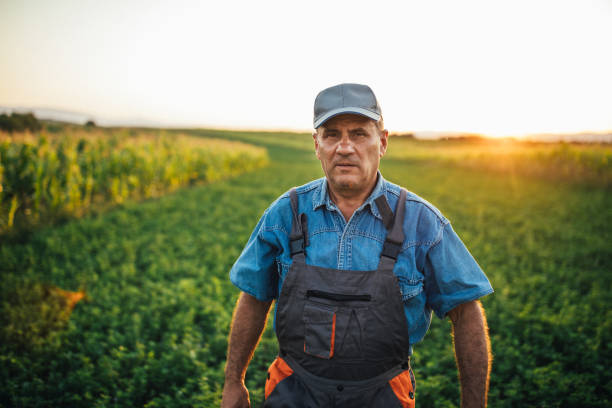 istock Old farmer standing in the filed 1200937974