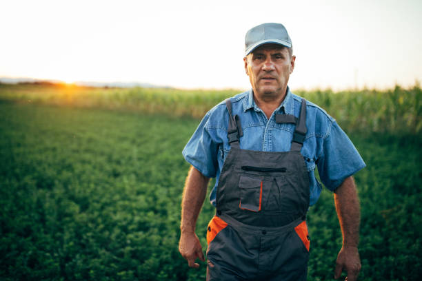 istock One senior farmer walking in the field 1200939012