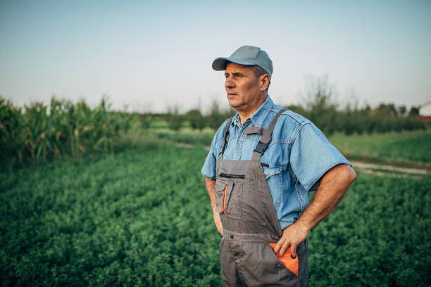 istock One farmer standing in the filed 1200939254