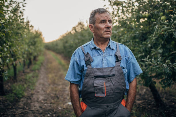 istock One farmer standing on the apple orchard 1200939795
