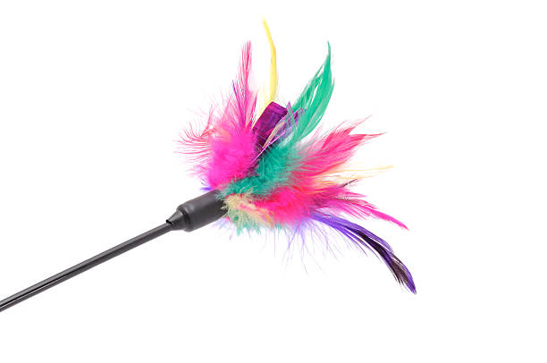 Feathered Pole Cat Toy stock photo