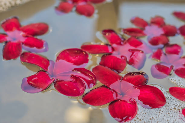 Red frangipani flowers in the spa bath.