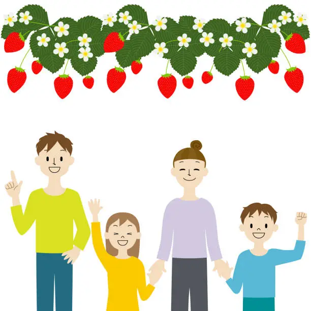 Vector illustration of Illustration of a family who came to pick strawberries