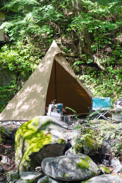 istock Tent in rich nature (image of camping and traveling) 1200944840