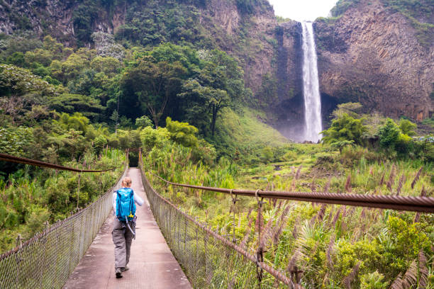 старшая женщина походы по мосту на пути к bridal вуаль водопад, эквадор - tropical rainforest tropical climate waterfall landscape стоковые фото и изображения