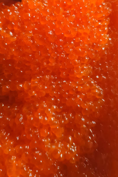 caviar rojo en recipiente de plástico. caviar de salmón, comida dietética. - plank bread caviar close up fotografías e imágenes de stock