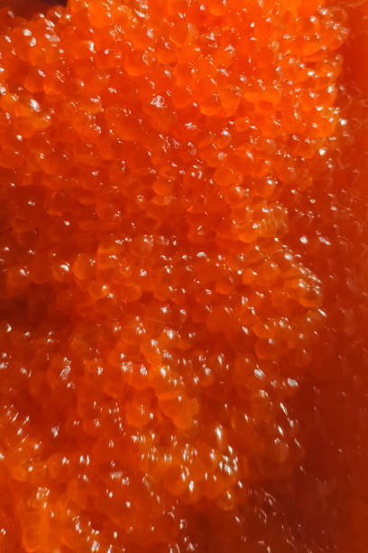 caviar vermelho em recipiente plástico. caviar de salmão, comida dietética. - plank bread caviar close up - fotografias e filmes do acervo
