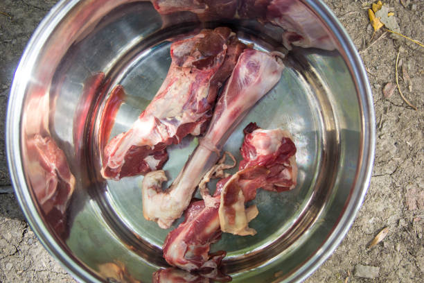 huesos de cordero crudo para cocinar sopa en una olla en la naturaleza - dead animal butcher meat sheep fotografías e imágenes de stock