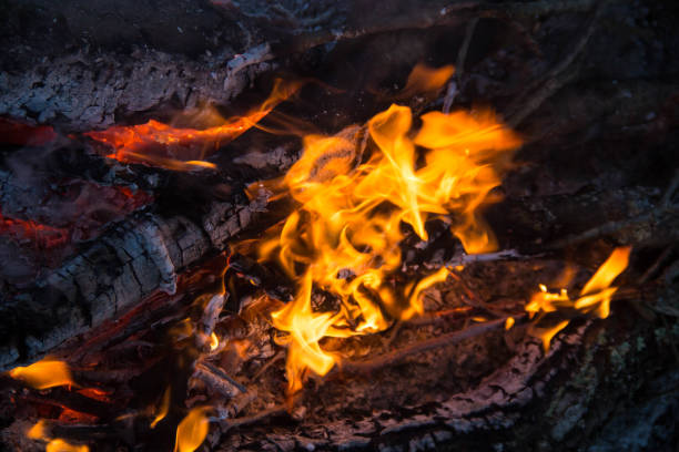 istock part of Night campfire with available space photo 1200947729