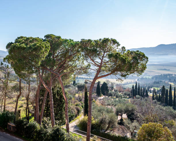istock Pienza, Orcia valley, Italy. 1200948116