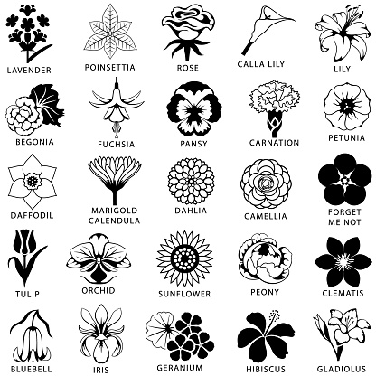 Icon set of 25 common and popular flowers. Single color. Isolated.