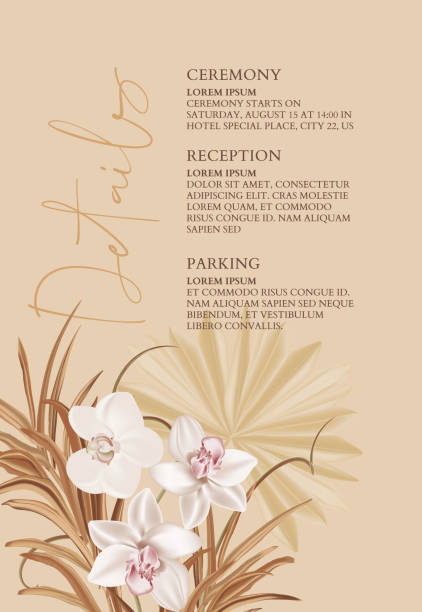 Pampas realistic watercolor orchid flowers and dried palm leaves, bohemian wedding card. Tender soft beige bouquet. Modern jungle ivory bride poster design. Save the date illustration Pampas realistic watercolor orchid flowers and dried palm leaves, bohemian wedding card. Tender soft beige bouquet. Modern jungle ivory bride poster design. Save the date illustration. ornamental grass white background stock illustrations