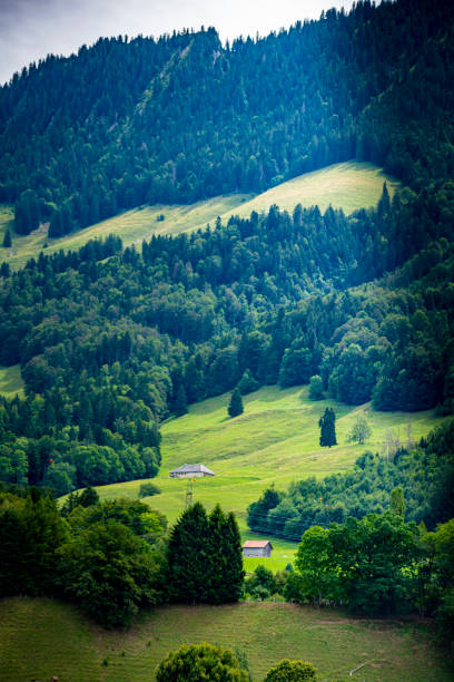 istock 2019 The Alps near Broc, Switzerland 1200953562