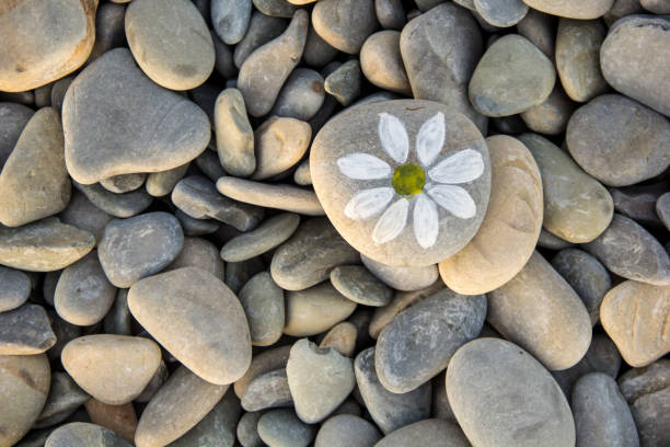 Rwd flowers on white rocks