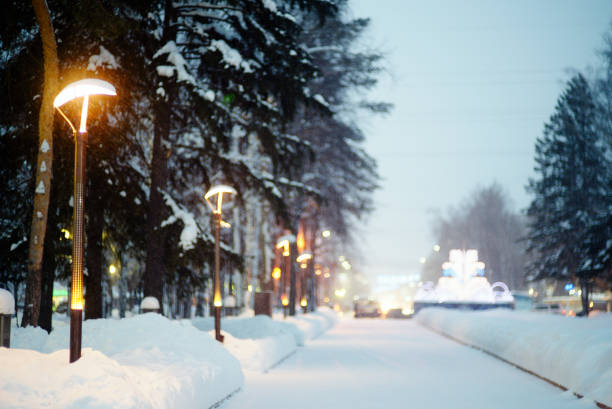 Snow covered park alley at dusk.