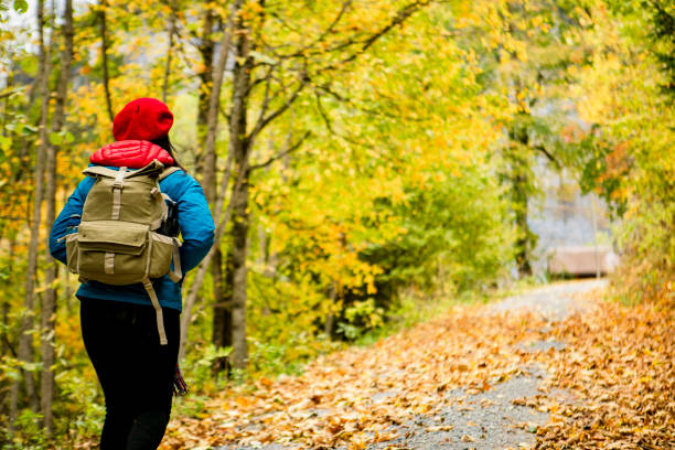 istock young woman hiking on mountain 1200957925