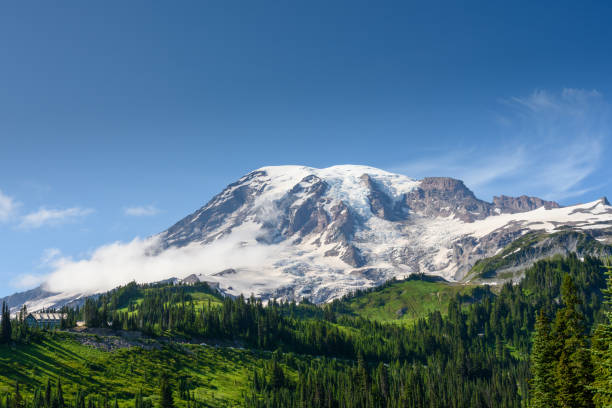 istock View of Mount Rainier Looking toward Sunrise District 1200959199