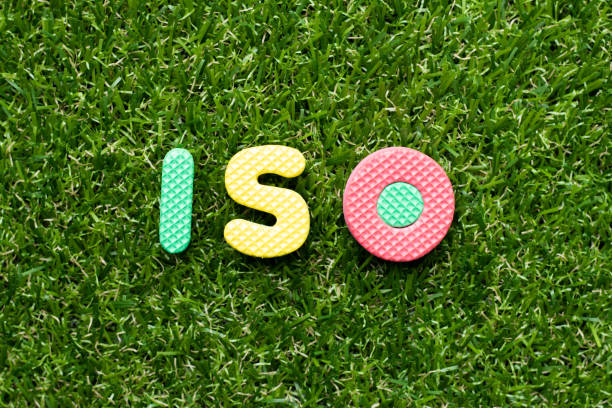 istock Toy foam letter in word iso on green grass background 1200960436