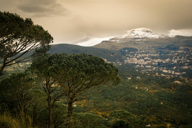 istock Beautiful Nature Chouf district Lebanon 1200961979