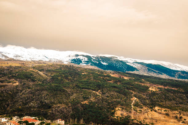 istock Beautiful Nature Chouf district Lebanon 1200962962