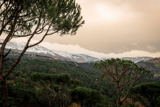 istock Beautiful Nature Chouf district Lebanon 1200964626
