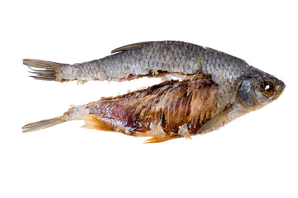 istock dry fish close up 120096634