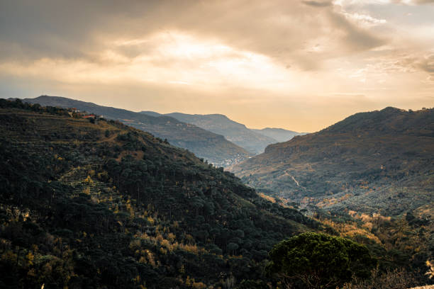 istock Beautiful Nature in Chouf district Lebanon 1200967848