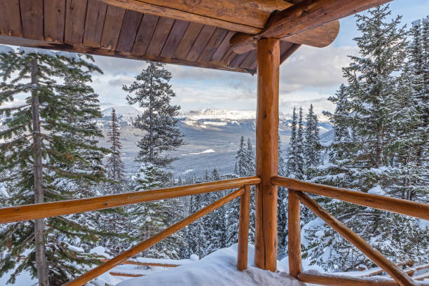 istock Lake Agnes Lookout in Winter 1200968349