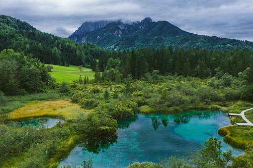 Crystal clear Lake Zelenci in cloudy morning. Slovenian mountains.