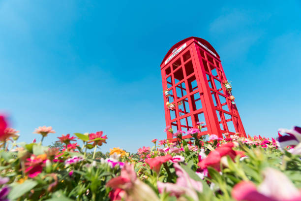 cabine telefônica vermelha no jardim das flores - red telephone box - fotografias e filmes do acervo