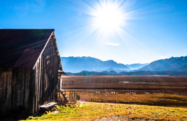 istock landscape murnauer moos - bavaria 1200973810
