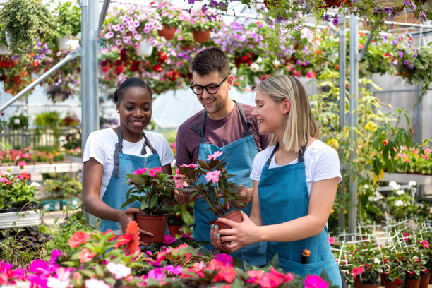 istock Working in a garden center 1200974368