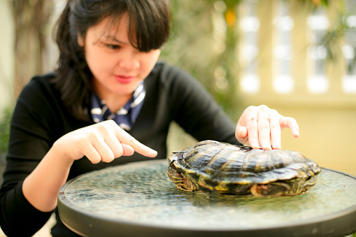 asian young Woman Holding Turtle