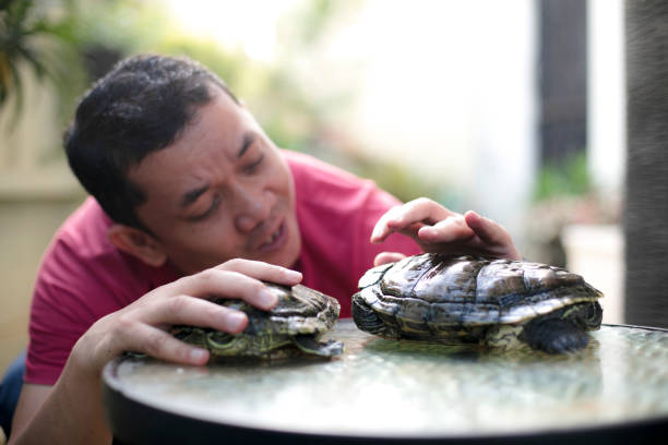 a asian  Adult  Holding Turtle