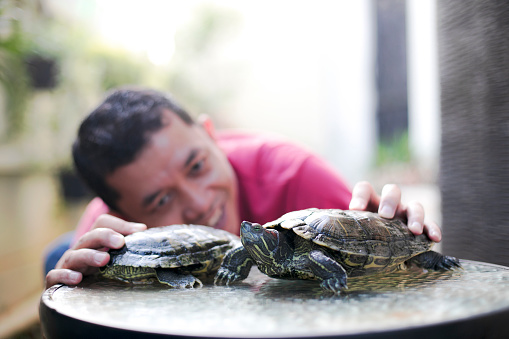 a asian  Adult  Holding Turtle