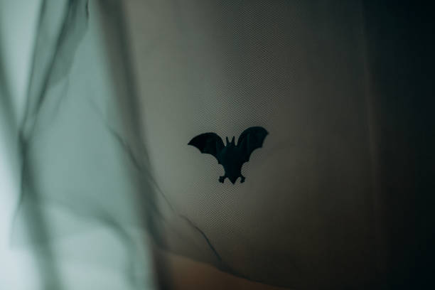 istock halloween mystic bat black white sheet spider 1200978789