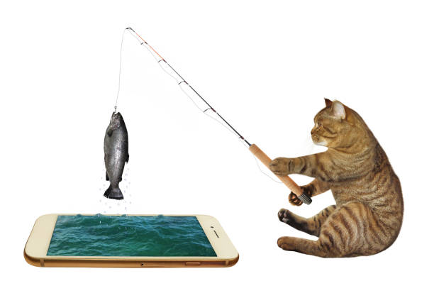 Funny Fishing Stock Photos, Pictures & Royalty-Free Images - iStock