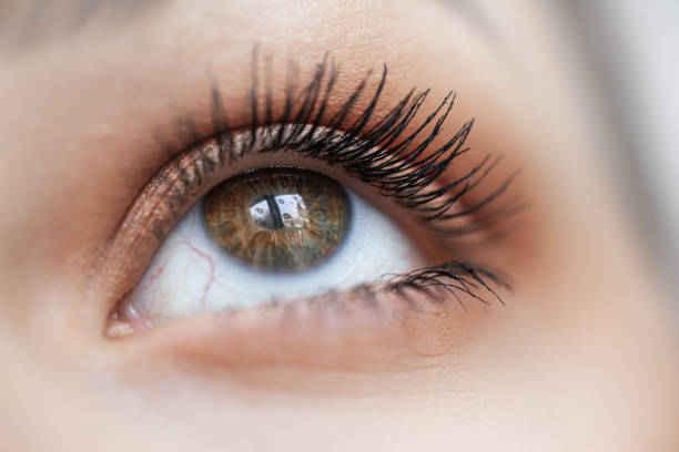 istock Eye. Close-up. Beautiful woman with soft make up. 1200982331