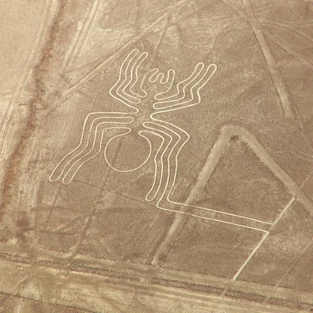 istock Spider geoglyph, Nazca mysterious lines and geoglyphs 1200982491