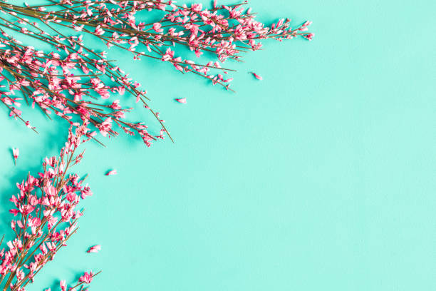 istock Flowers composition. Pink flowers on blue background. Flat lay, top view, copy space 1200983767