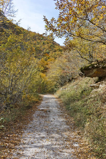 istock Struilitsa eco path at Devin river gorge, Rhodope Mountains 1200984339