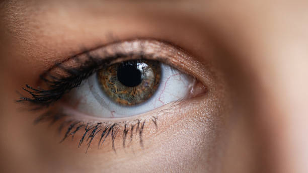 istock Eye. Close-up. Beautiful woman with soft make up. 1200985491