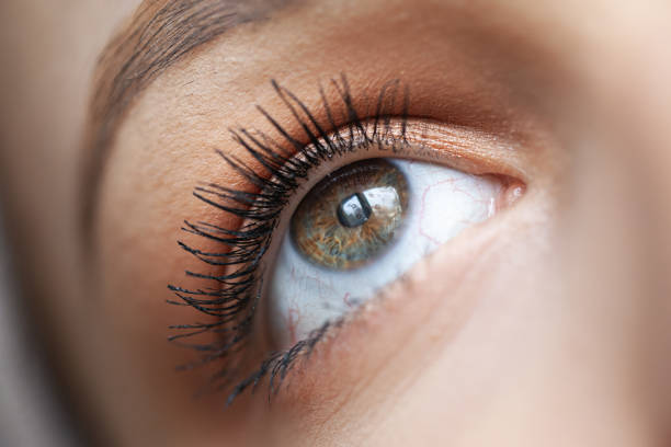 istock Eye. Close-up. Beautiful woman with soft make up. 1200985587