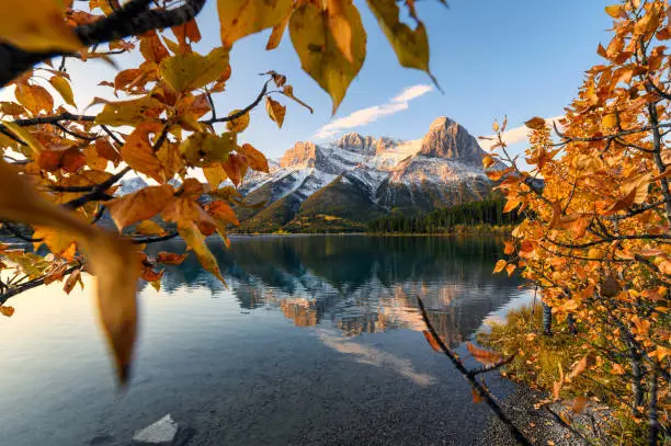 Sunrise on Mount Lawrence Grassi with golden leaves reflection on Rundle Forebay reservoir at Canmore, Canada